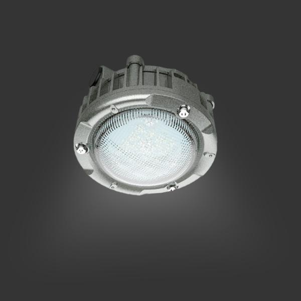Crompton flameproof light deals